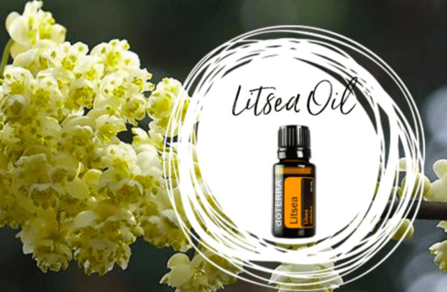 dōTERRA Litsea Essential Oil - 15ml