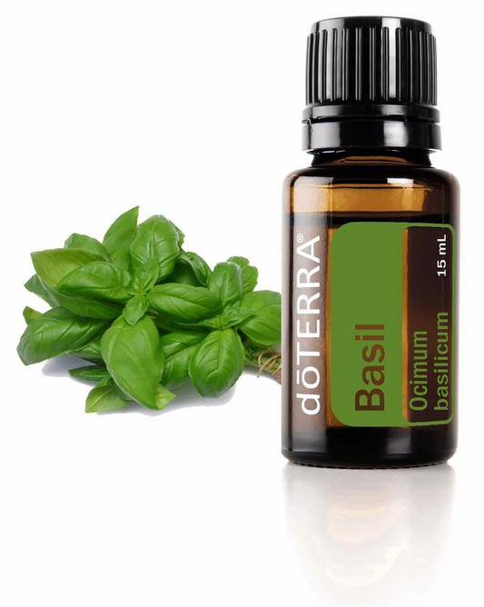 doTERRA Pure Essential Oil - Basil - 15ml